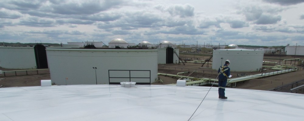 Inspector on Roof with Dome Roof background